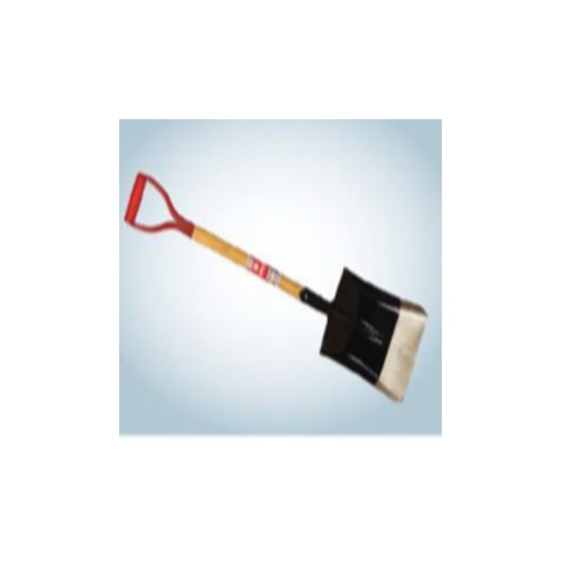 Champion M S Belcha/Shovel