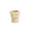 1¼" FEMALE THREADED SOCKET- Code:12811