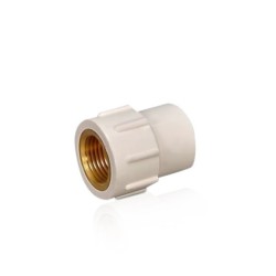 2" X 2" CPVC FEMALE THREADED SOCKET - Code:12783