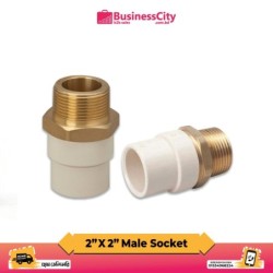 2" X 2" Male Threaded Socket ( Code-11052)