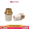 2" X 2" Male Threaded Socket ( Code-11052)