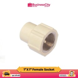 1" X 1" Female Threaded Socket ( Code-11042)