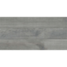 Floor Tile (FT 12X24 Molten gray PM) (AAAB-13605)