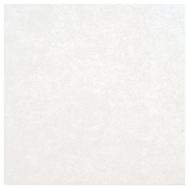 Floor Tile (FT 12×12 Willie Bone PM) (AAAB-13596)