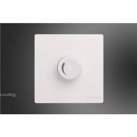 VENICE FAN DIMMER WITH SWITCH