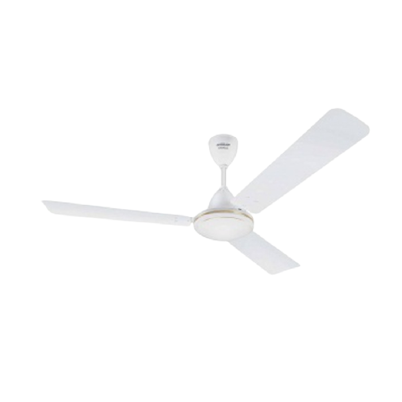 56" Ceiling Fan Crescent white color with golden border (E36556CRW)