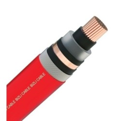 Bizli Cables 2xSEYFGY(3x25 Rm) 11 KV Red