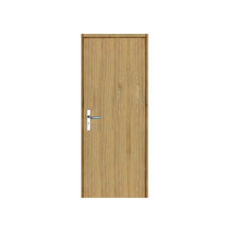 Flush Door (AAAB-DD120)