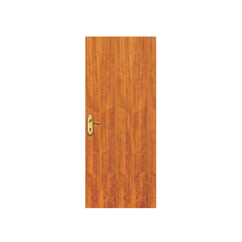 Flush Door (AAAB-DD113)