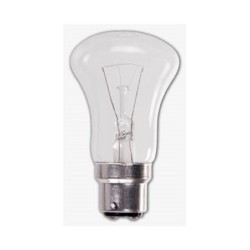 RG 20W Clear GLS Bulb Pin Type