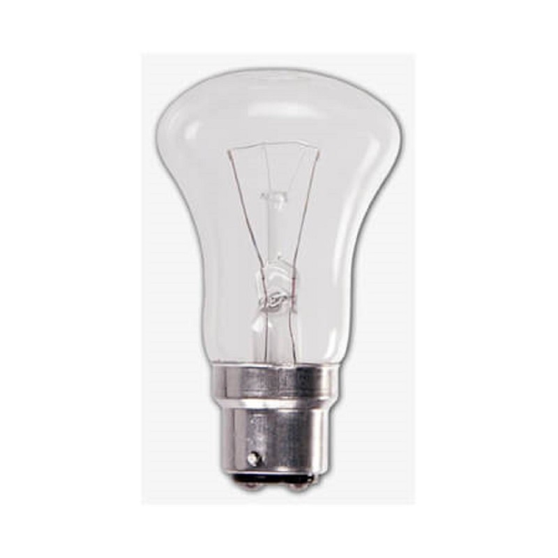 RG 20W Clear GLS Bulb Pin Type