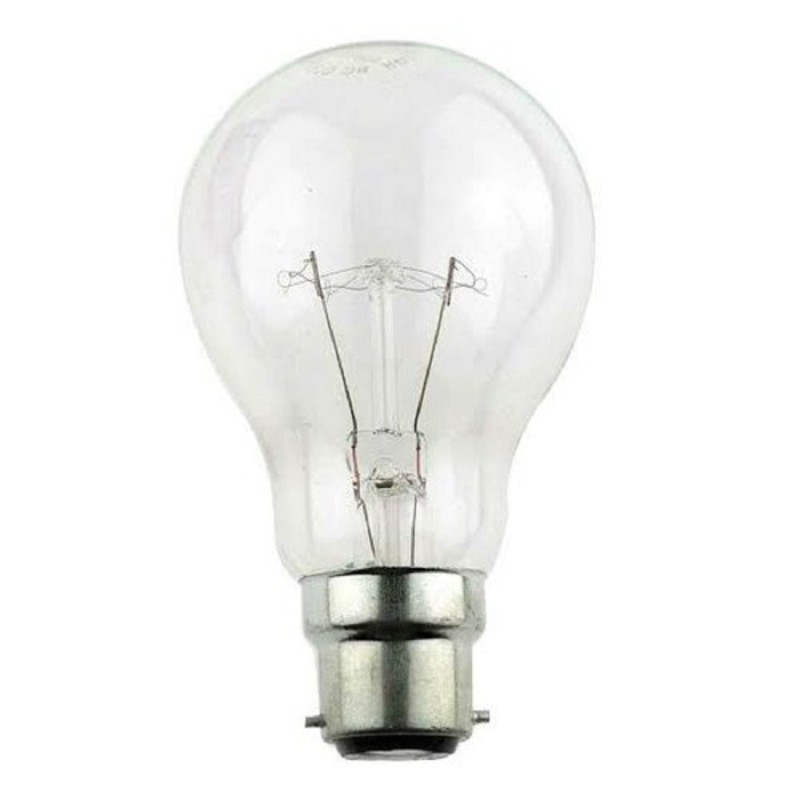 RG 100W Clear GLS Bulb Pin Type