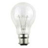 RG 100W Clear GLS Bulb Pin Type