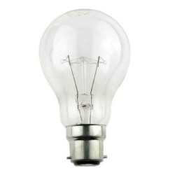 RG 200W Clear GLS  Light/Bulb Pin Type Light