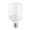 RG Led  Light/Bulb 20 watt Light  (6months Guarantee)  AAAE CODE 7939