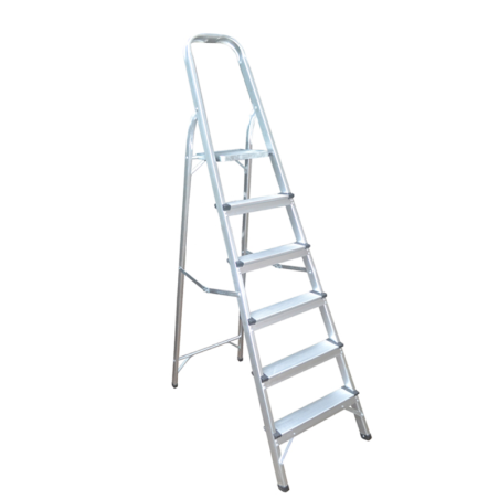 Dolphin Platform Ladder 08 Step