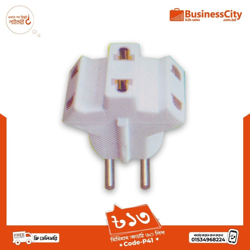 Three Pin Plug (P-41)