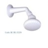 Moving Shower (BC-RG-2229)