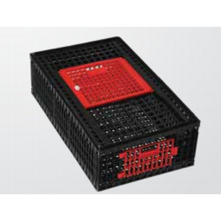 Chicken Case Small - Black