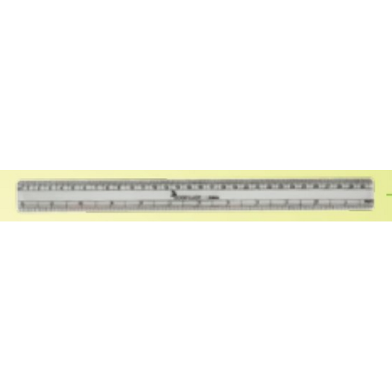Good Luck Scholar Scale (30cm)