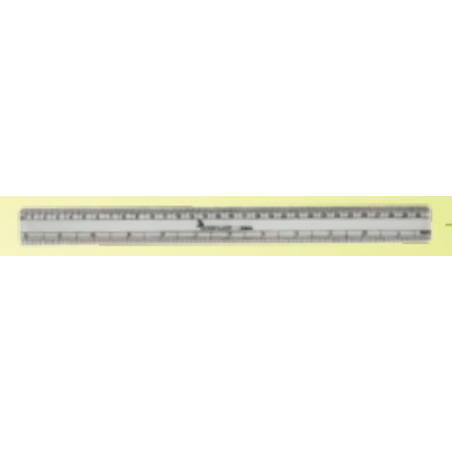 Good Luck Scholar Scale (30cm)