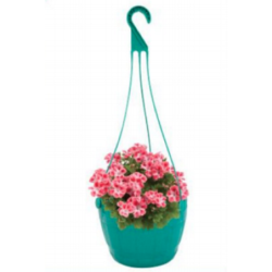 Hanging Flower Tub 8" -TG...