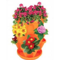 Vertical Gardening Flower...