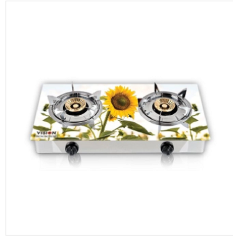 VISION NG Double Glass Gas Stove Sun Fl 3D