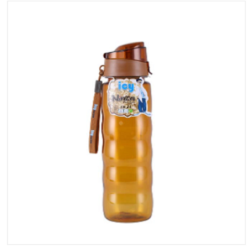 Ninza Water Bottle 800 ML