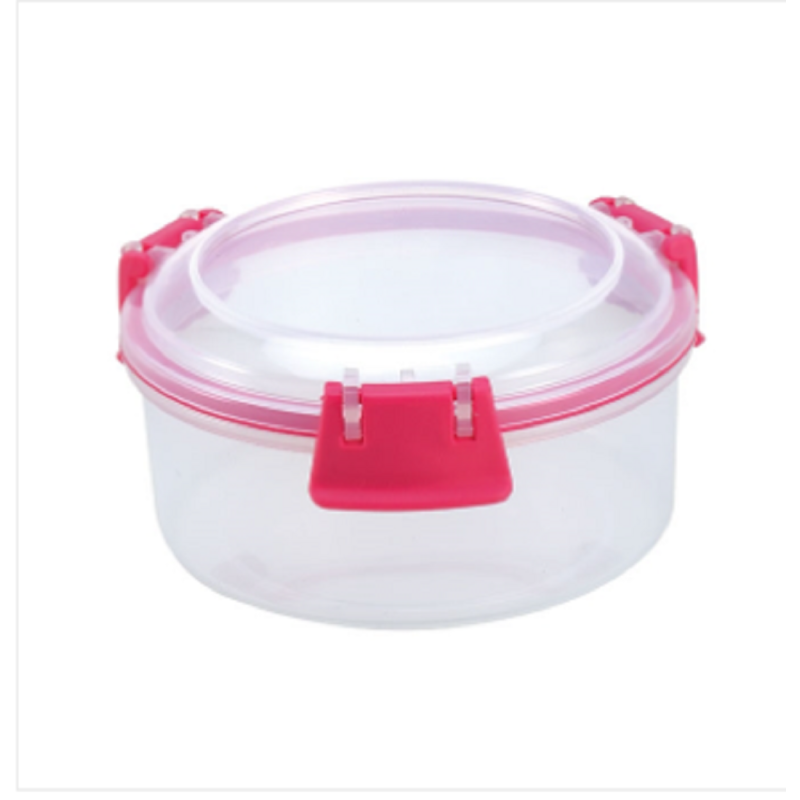 Aqua Food Lock Container RO 300 ML Transparent