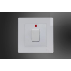 20 A DP switch with Red...