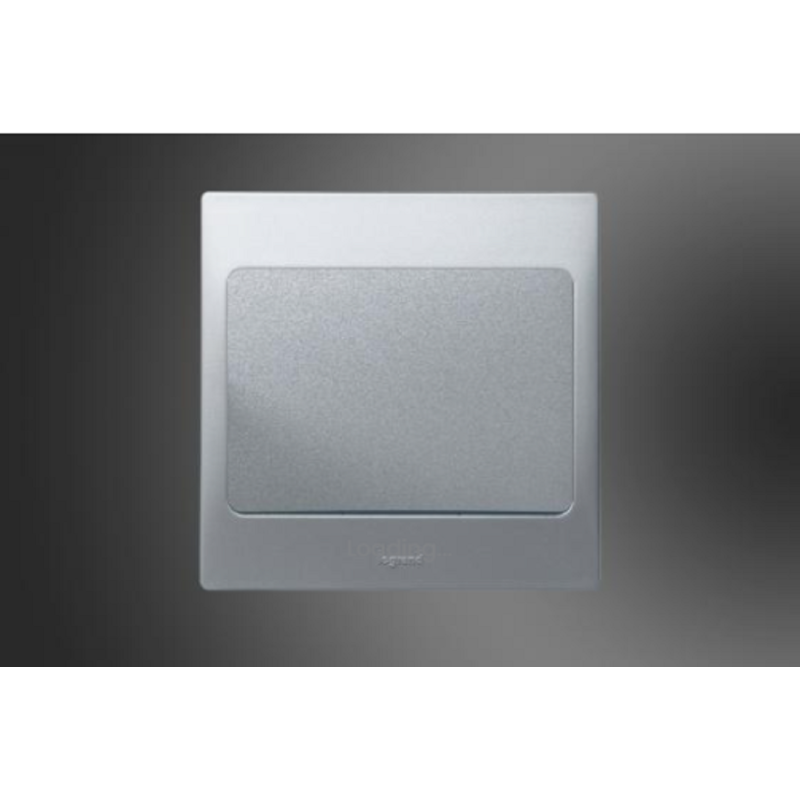 Blank Plate Silver (281390)