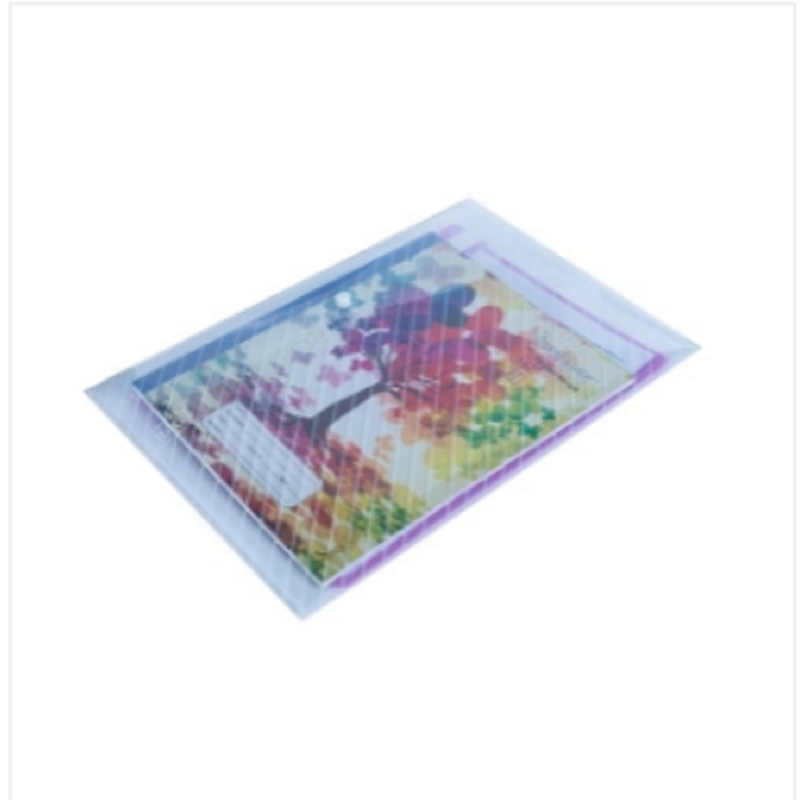 Good Luck My Clear Bag - FC