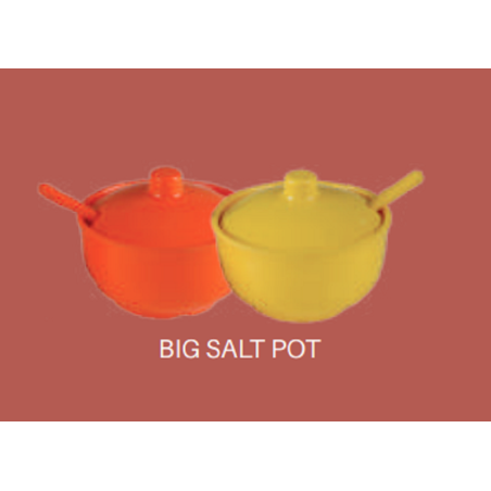 Big Salt Pot- Assorted Color Brand : Italiano