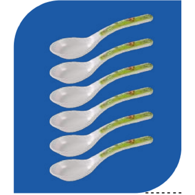 Baby Spoon 6 pcs set-Tiger Design Brand: Italiano