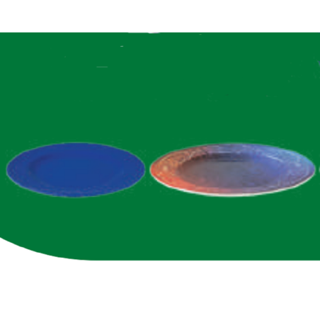 10.5" Design Meat plate- Assorted Color Brand: Italiano