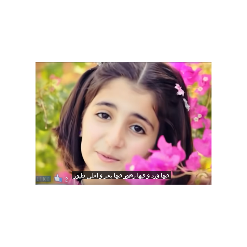 Lan Shan LSRO-1550-G Water Purifier