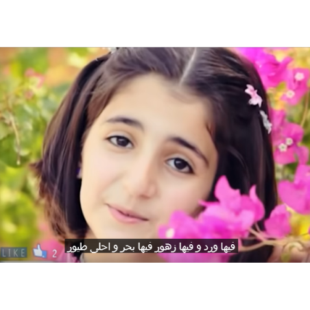 Lan Shan LSRO-1550-G Water Purifier