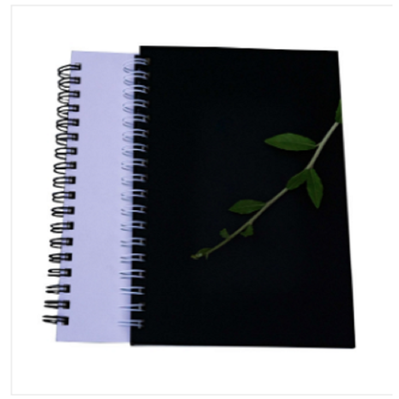 Executive Series Black & White Cover Spiral Notebook 2-Pack